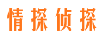 武陵侦探调查公司